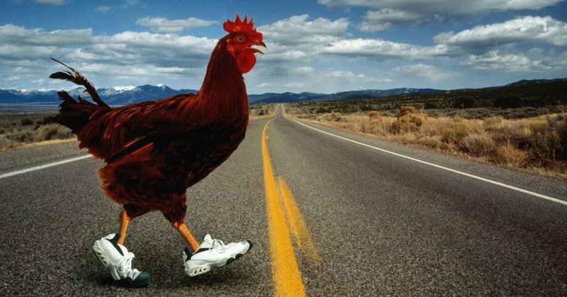 Descubre el Misterio de Chicken Road en Nuestros Casinos en Línea de España - overview